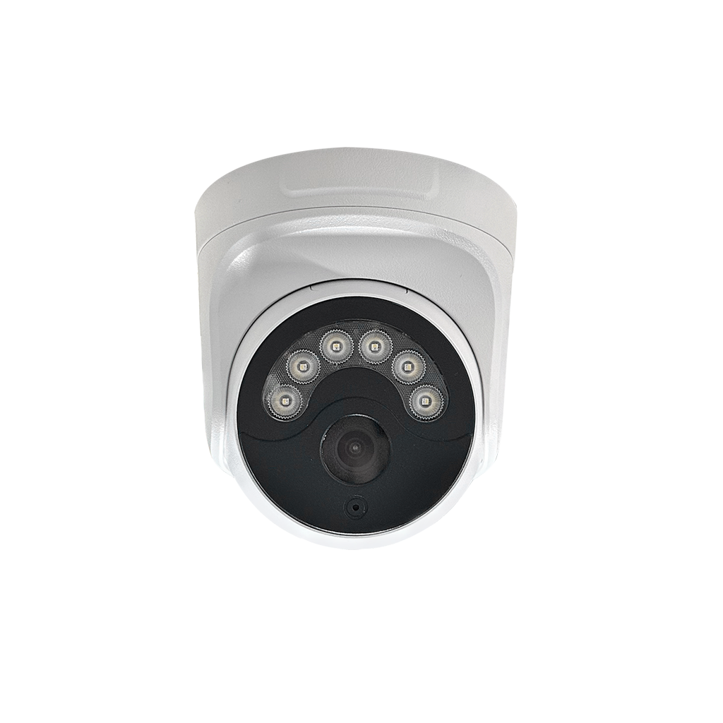2MP IP Camera IMX307 Starlight Night Vision H.265 Hi3516EV200 Outdoor PTZ Dome CCTV Camera ONVIF RTSP RTMP