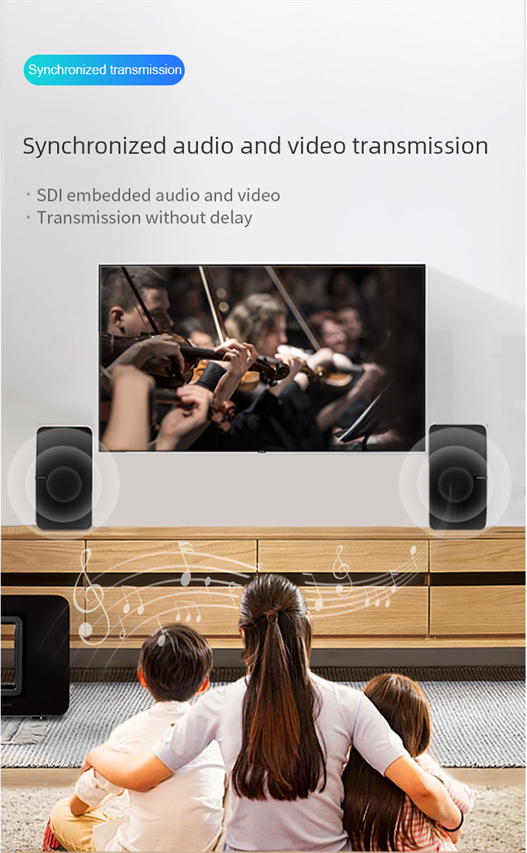 Synchronized audio and video transmission
